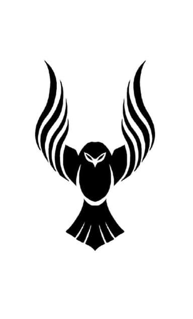 Car Inspection Kenya - DriveWise Owl